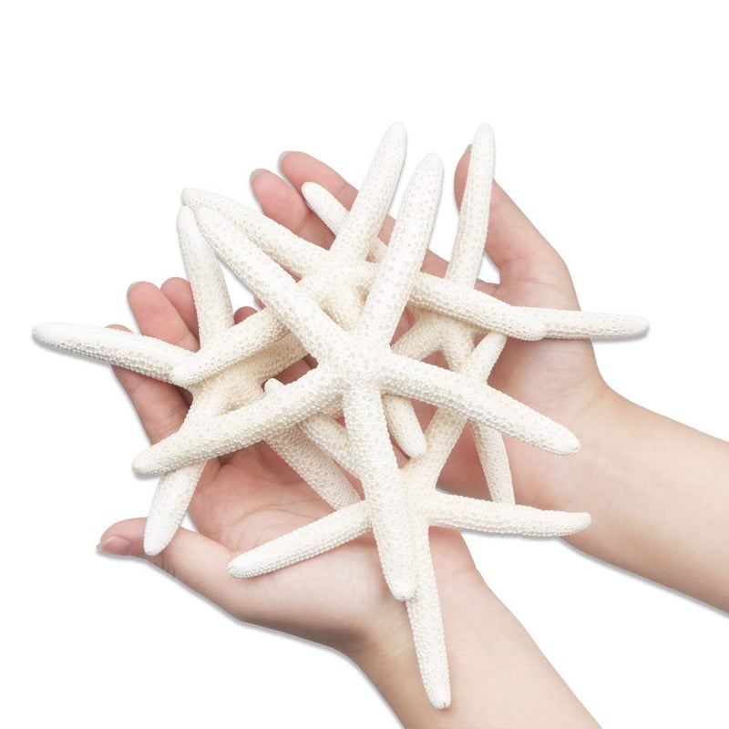 Jangostor 5 PCS Starfish 4-6 Inch Ocean Beach Starfish Natural Colorful Seashells Starfish Perfect for Wedding Decor Beach Theme Party, Home Decorations,DIY Crafts, Fish Tank - Image 2